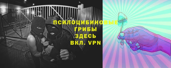 стаф Бугульма