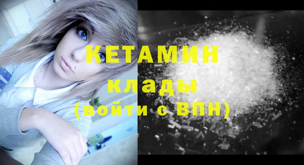 трава Белокуриха