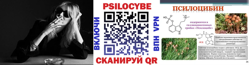 omg онион  Вятские Поляны  Галлюциногенные грибы Magic Shrooms 