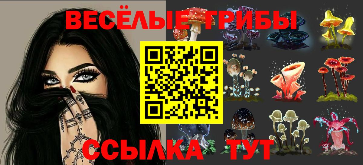 дарнет шоп  Вход с VPN  Вятские Поляны  Псилоцибиновые грибы GOLDEN TEACHER 