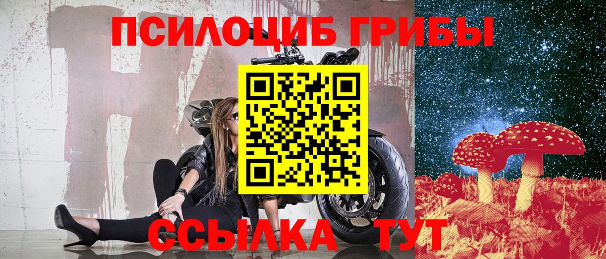 Галлюциногенные грибы мухоморы Вятские Поляны